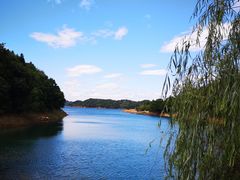 -酒仙湖景区