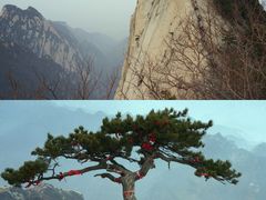 -秦始皇帝陵博物院(兵马俑)