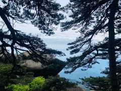 -天柱山风景区