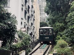 -太平山顶