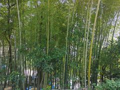 -金水泊山庄·花椒鸡(铁山坪店)