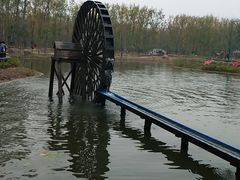 -合肥滨湖国家森林公园