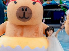-海合安成都极地海洋公园