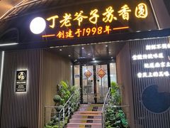 -丁老爷子苏香圆