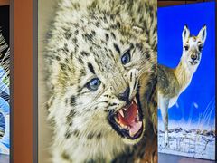 -中国湿地博物馆