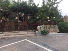-怪坡茶馆