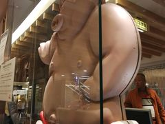 -矢场猪(名古屋站三井楼北馆店)