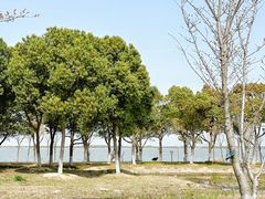 -阳澄湖半岛旅游度假区