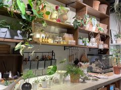 -自由生长植物工作室(深港花卉中心店)