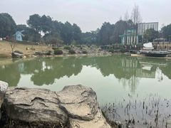 -铁山坪森林公园