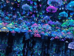 -天津梵高星空艺术馆(天河城旗舰店)