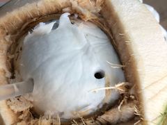 -PAGODA百果园(台柳路凯德广场店)