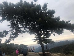 -沂蒙山旅游区云蒙景区(蒙山国家森林公园)