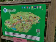 -青青世界