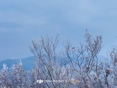 -武夷山风景名胜区-玉女峰