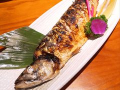 -有喜屋·烧鸟·居酒屋(周浦万达店)