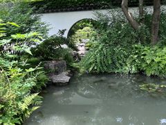 -上海醉白池公园
