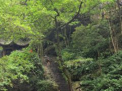 -石台牯牛降景区