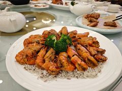 -新成海港大酒楼(康华路店)