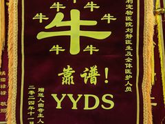 -贝利宠物医院·骨科·眼科·肿瘤转诊中心(南坪诊疗中心)
