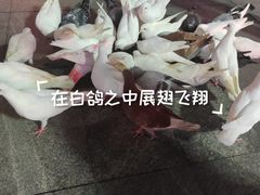 -万达广场(广州番禺店)