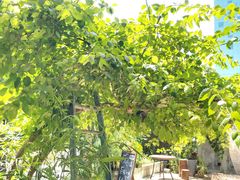 -时光花园(白鹭洲店)