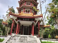 -深圳仙湖植物园