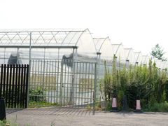 -广富林郊野公园