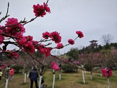 -宝鸡植物园