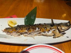 -有喜屋·鲜鸡烧鸟·居酒屋(安龙路店)