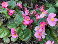 -漩门湾国家湿地公园