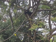 -深圳野生动物园