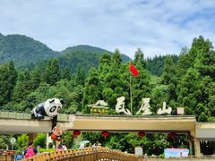 -瓦屋山景区
