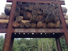 iphone_upload_pic-美人松苑
