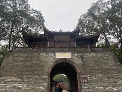 -桂湖森林公园