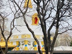 -护国法轮寺