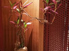 -二酉书店TOYOU BOOKS