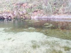 -沕沕水生态风景区