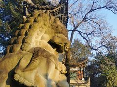 -兴教寺