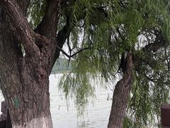 -云龙湖旅游景区