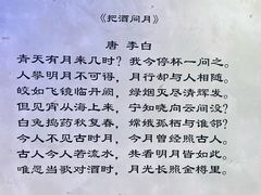 -金尚源SHANG