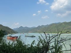 -羚羊峡古栈道森林公园