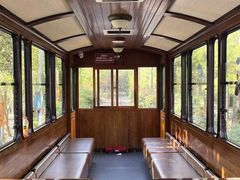 -合肥滨湖国家森林公园