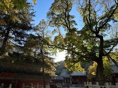 -潭柘寺景区