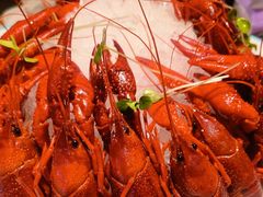 -杨氏青龙虾·羊蝎子(金盛路总店)