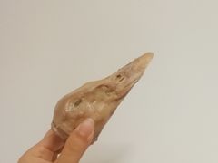 -杨震卤菜旗舰店