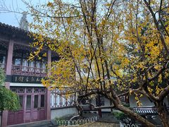 -郑和公园