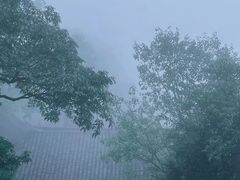 -青城山