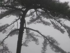 -石门涧