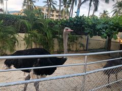 -三亚亚龙湾天域度假酒店